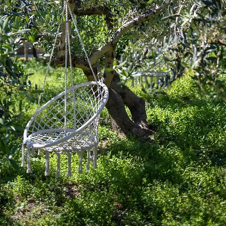 With A Parking Space Hvar - 22023 * 赫瓦尔